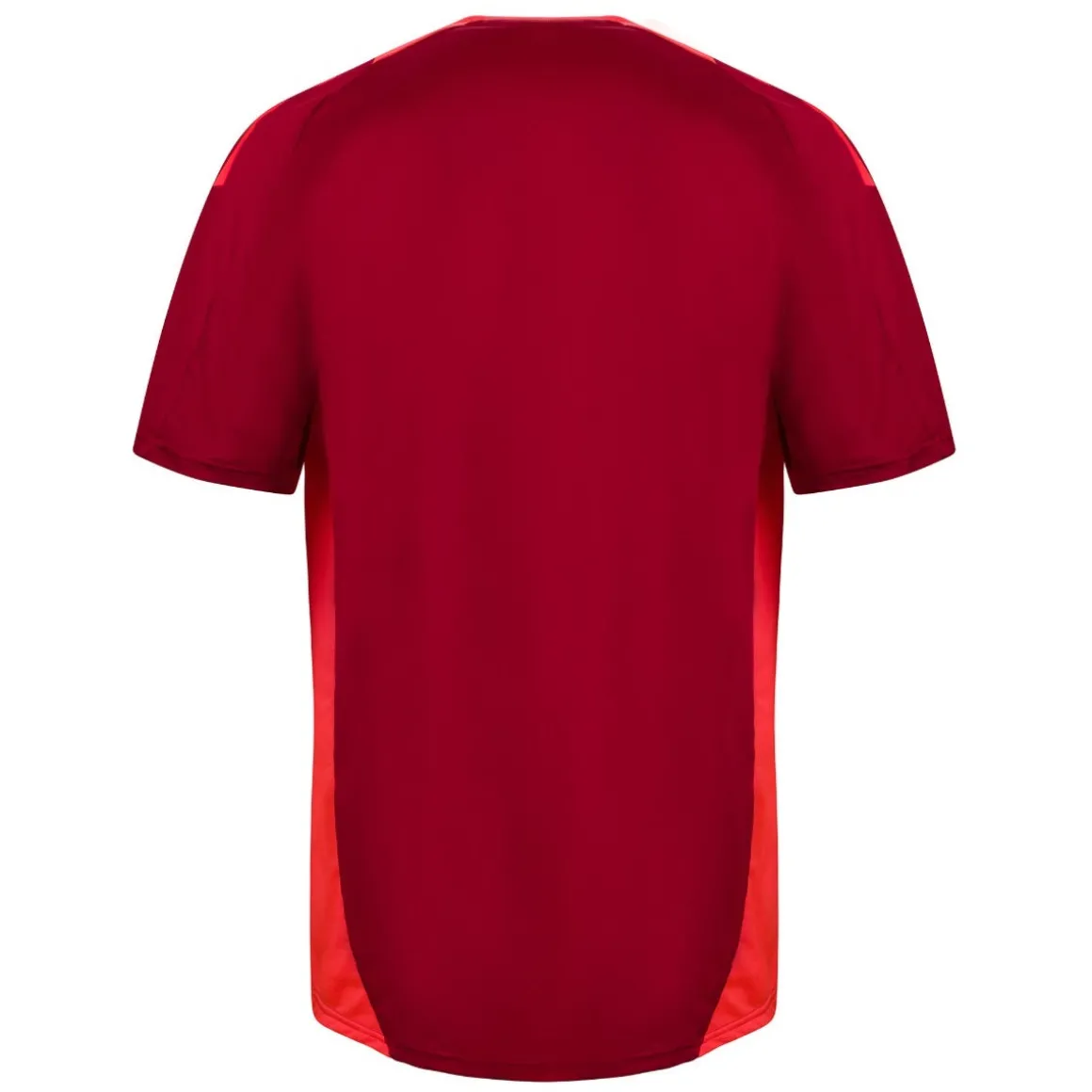 AS Roma Coach Training T-shirt, Red, Men Best